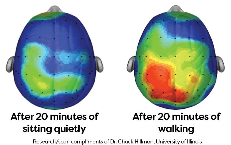 20 minutters gåtur kan ændre den kognitive ydeevne